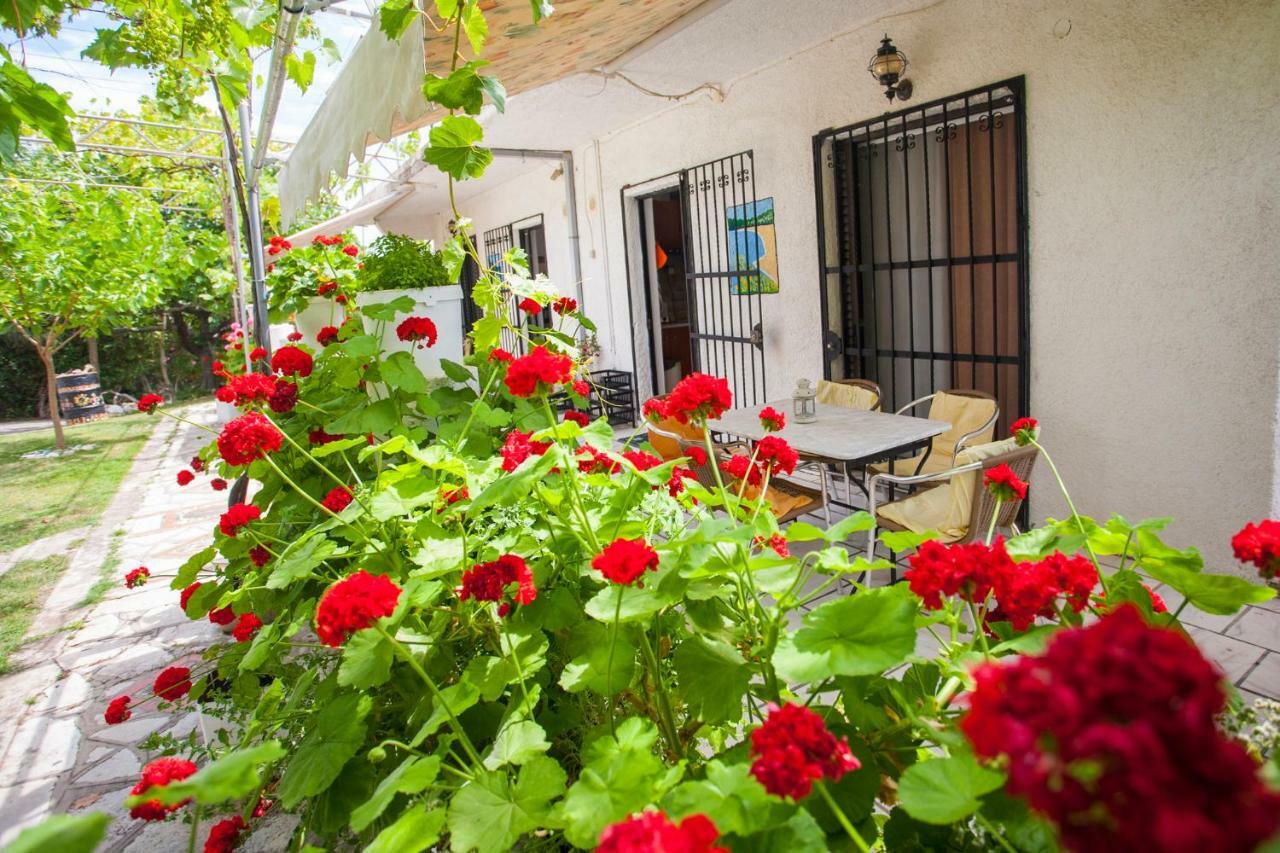 Nakou House Villa Vráchos Dış mekan fotoğraf